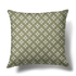 Echo Pillow - Sage