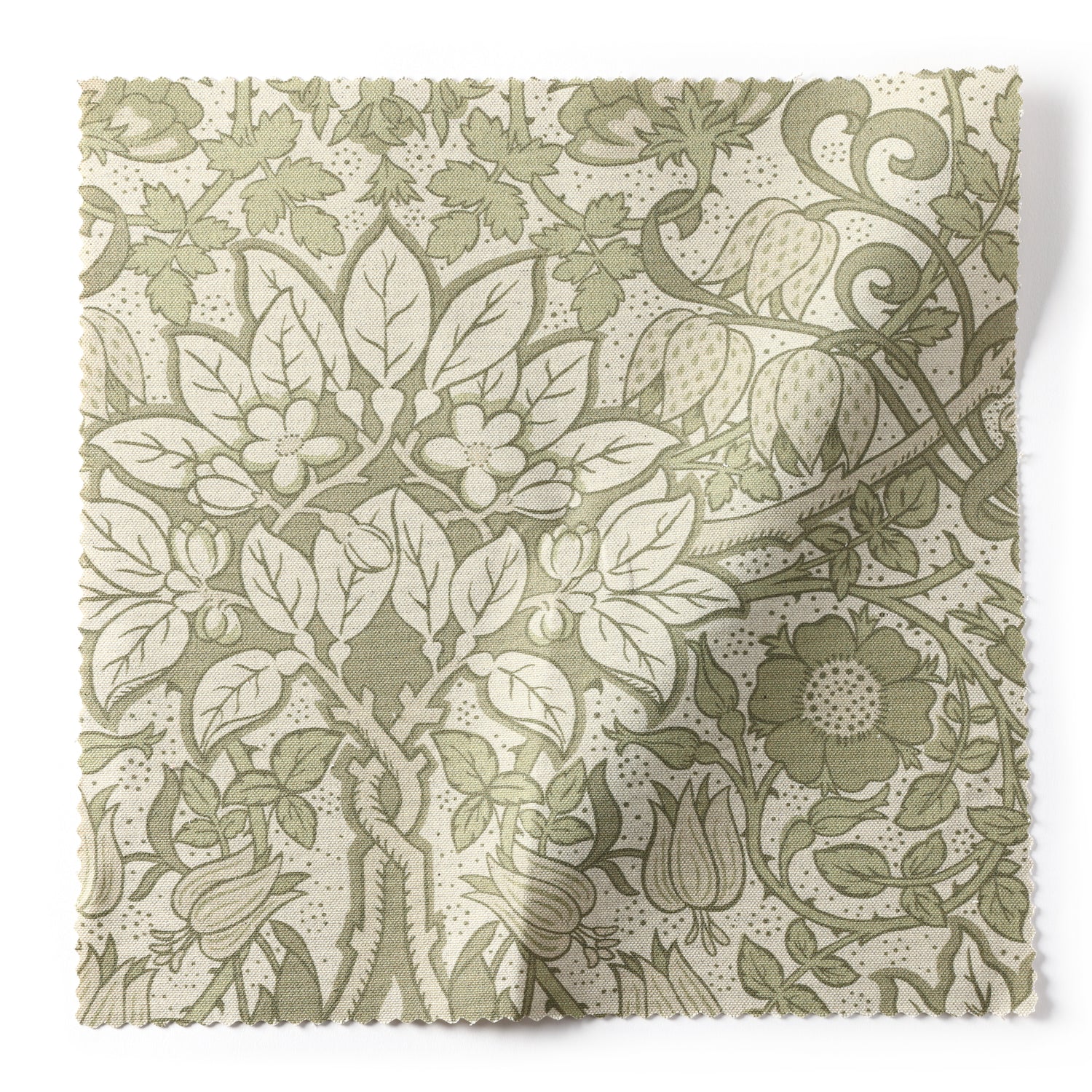 Flora Fabric Sample - Verbena