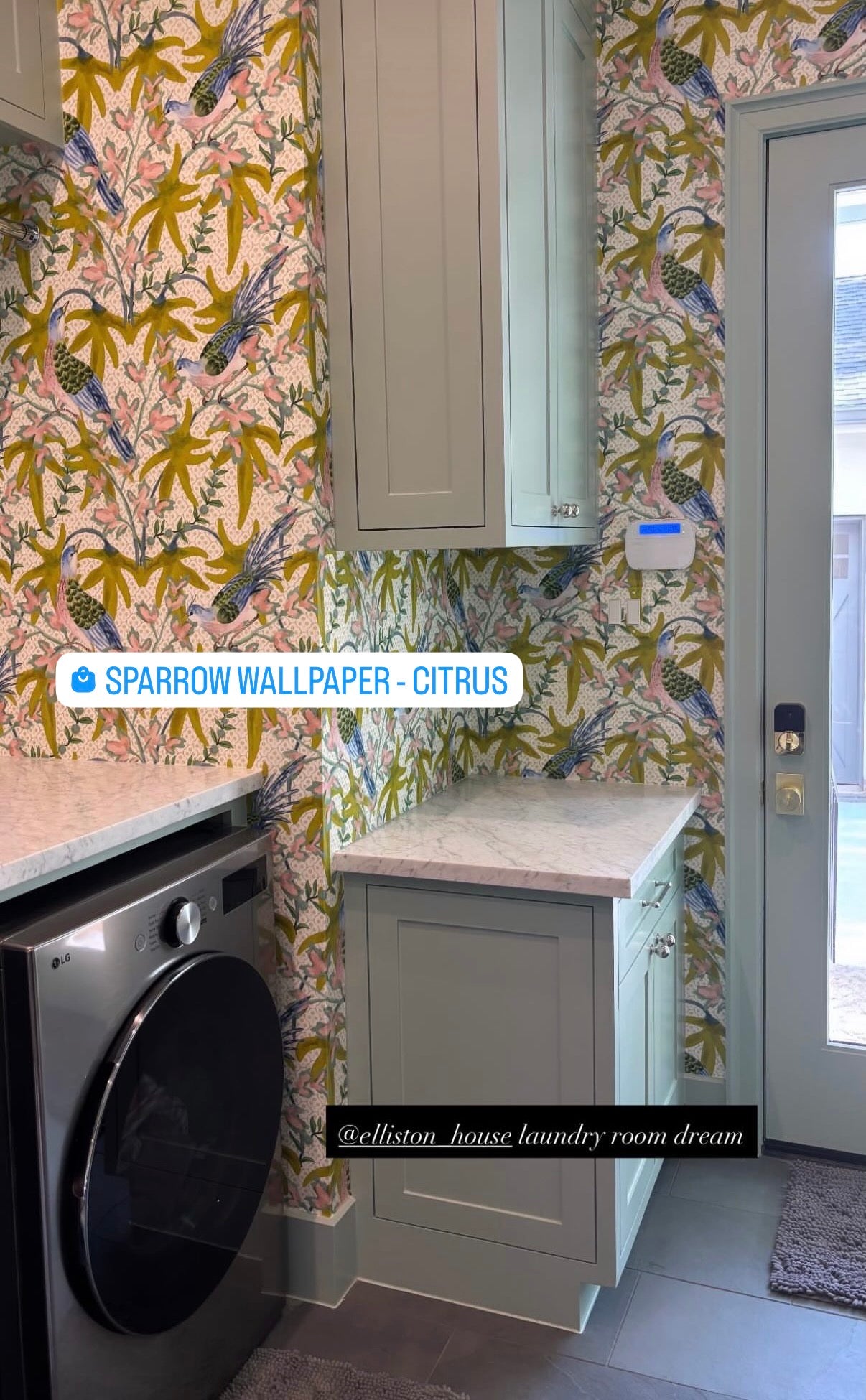 Sparrow Wallpaper - Citrus, featuring blue birds and green leaves on a light background in a laundry room.