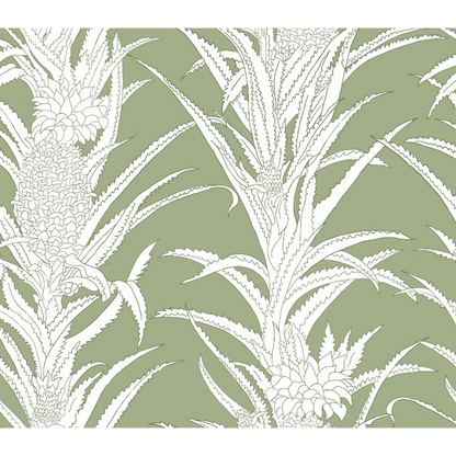 Coco Shop x EH Pineapple Grasscloth Sample - Green