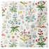Meadow Multi Fabric - White