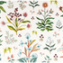 Meadow Multi Wallpaper - White