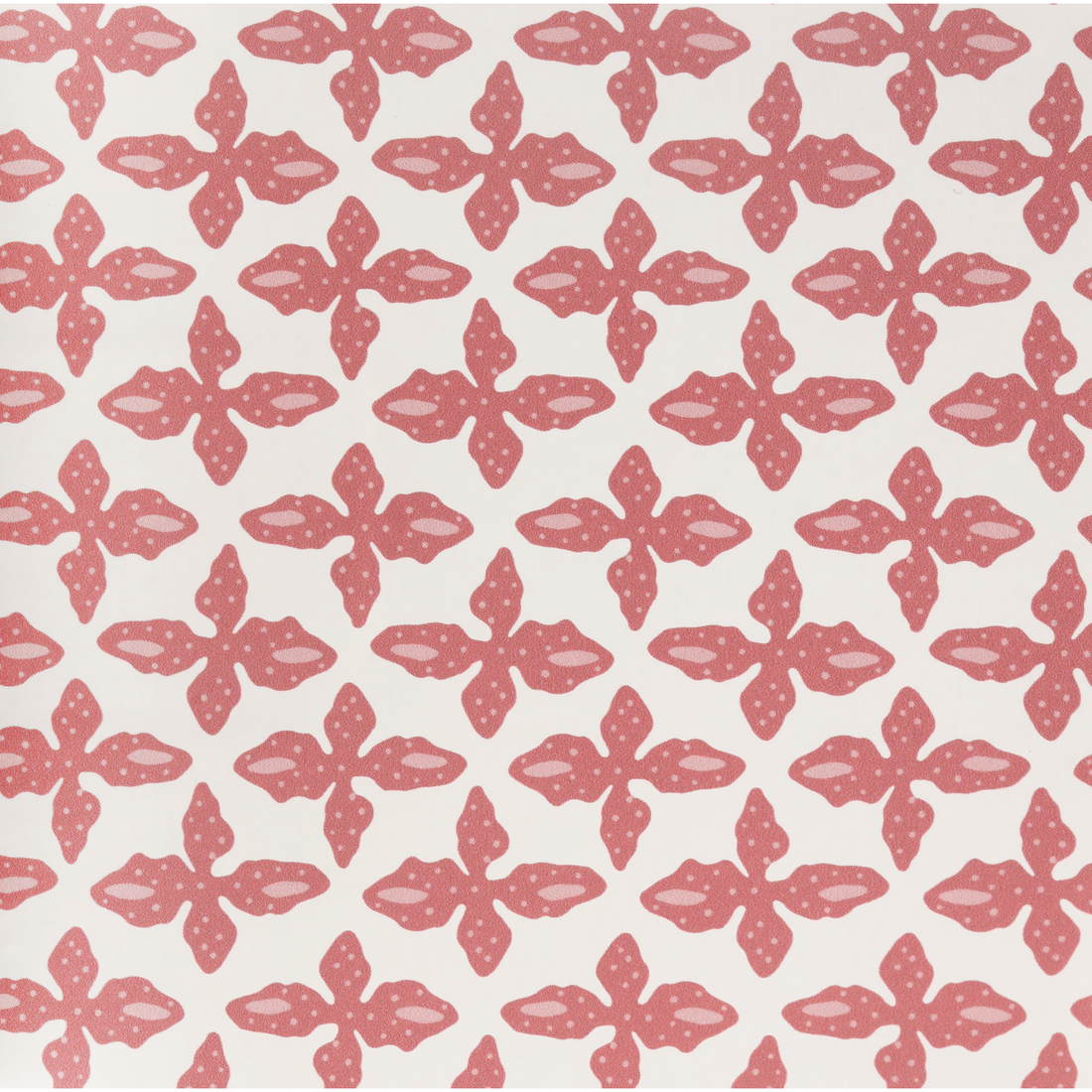 Posey Wallpaper - Poppy